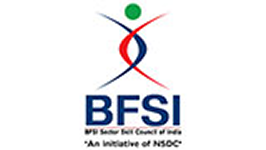 BFSI